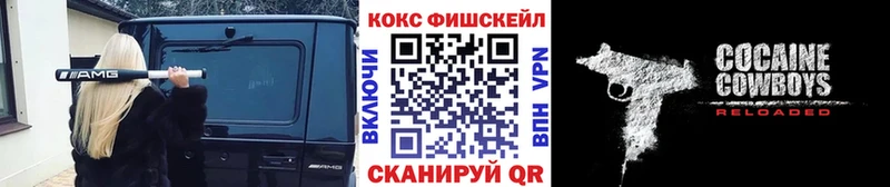 магазин продажи наркотиков  Отрадный  Cocaine Эквадор 