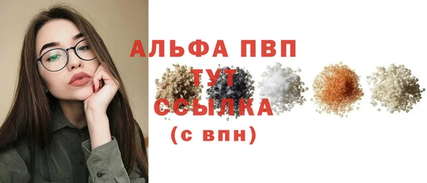 PSILOCYBIN Аркадак