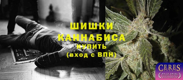 спайс Арсеньев