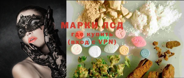 PSILOCYBIN Аркадак